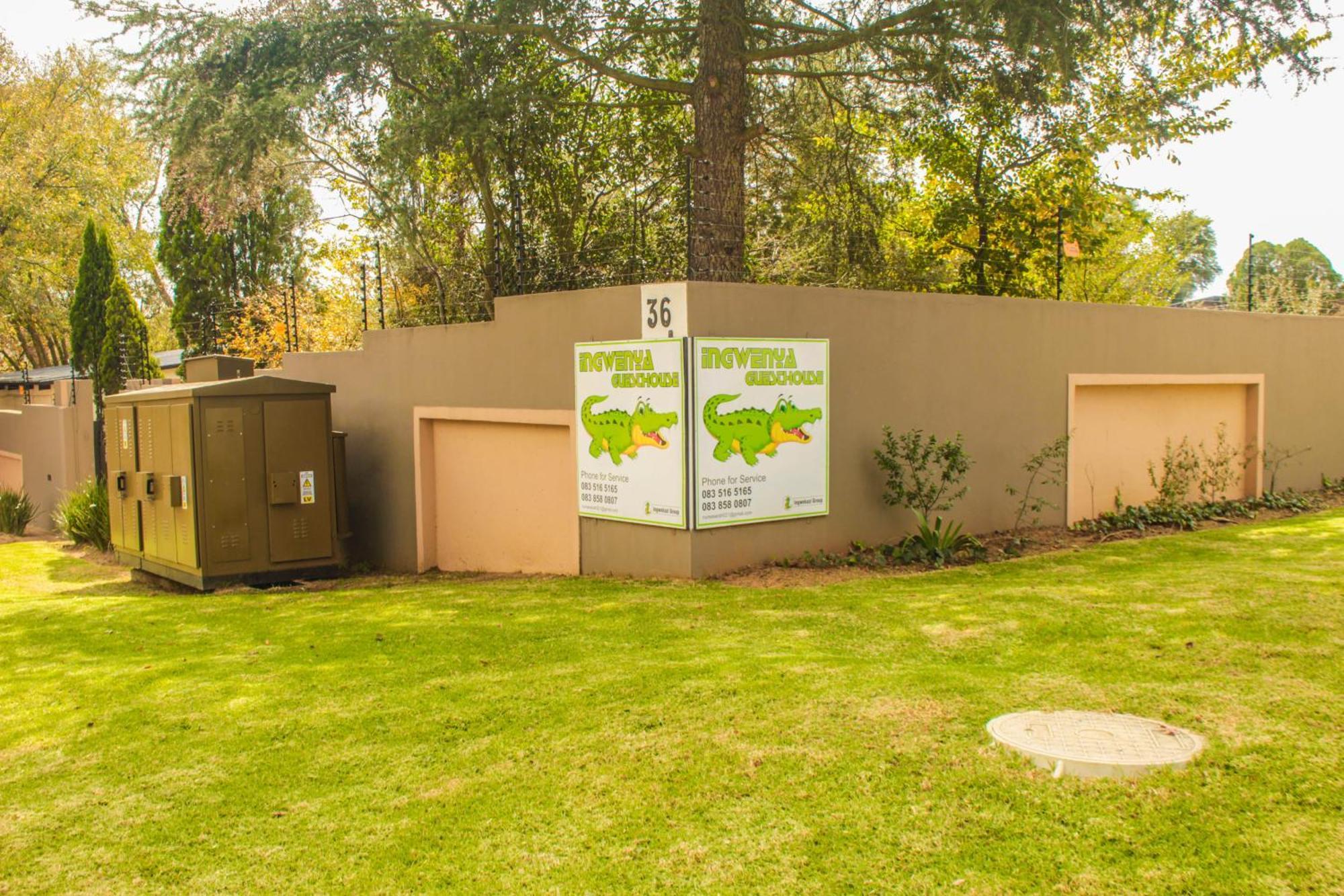 Ingwenya * Ermelo